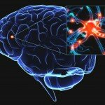 Американские ученые получили уникальное соединение, эффективно защищающее клетки мозга, на которые влияет болезнь Паркинсона