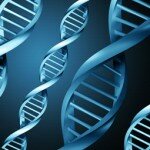 ДНК для лечения раковых опухолей